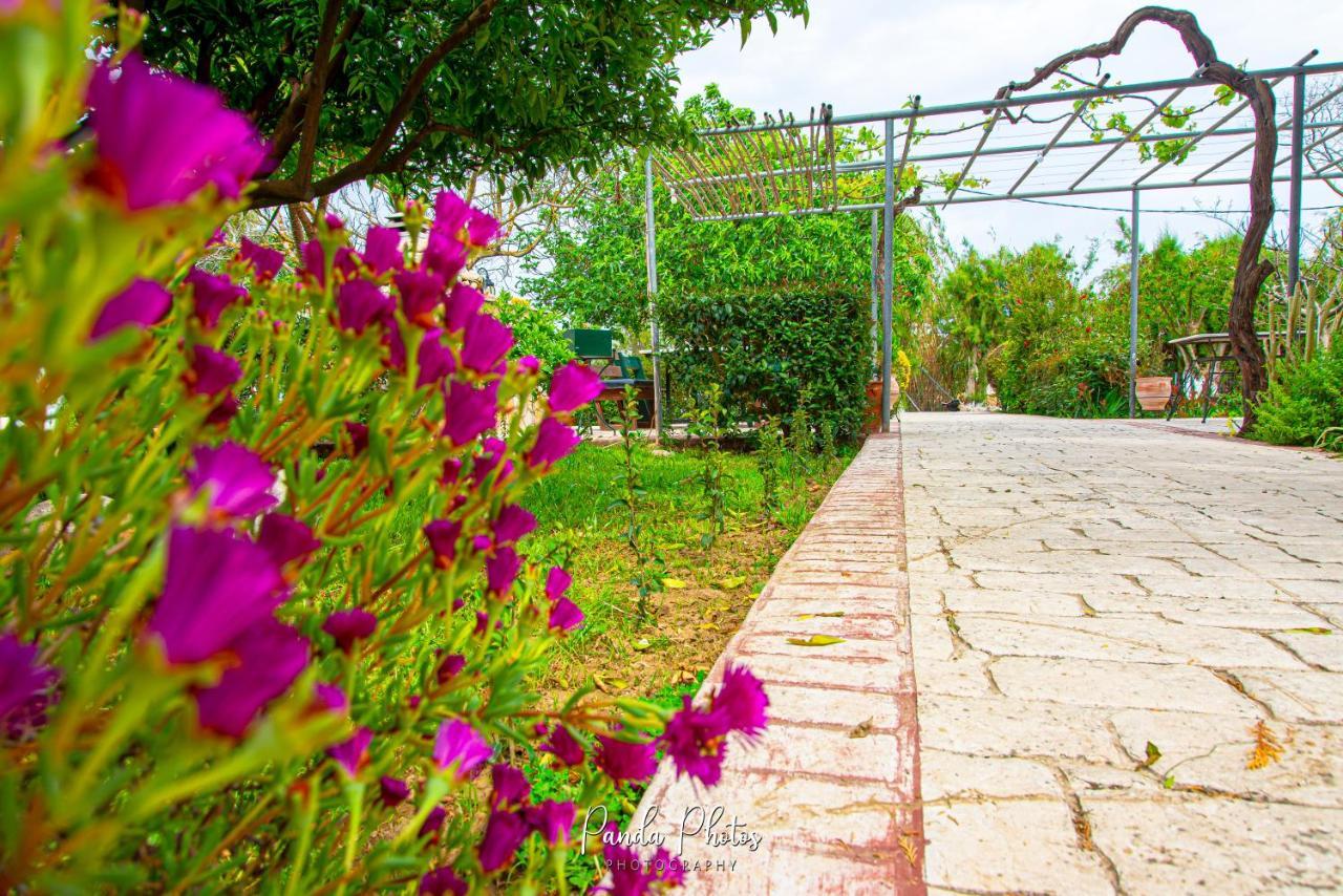 Zante Apts Laganas Exterior photo